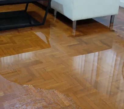 Décontamination après Inondation dans le Cher, Boruges, Sauvigny en Sancerre (18)