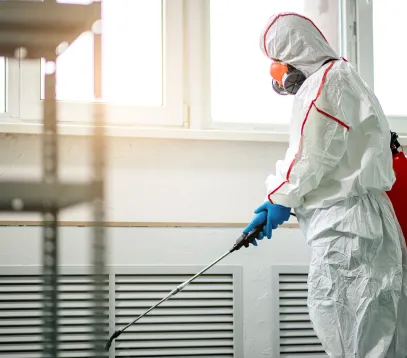 Décontamination de déjections et autres biologiques de Nuisibles à Savigny-en-Sancerre et Bourges (18)