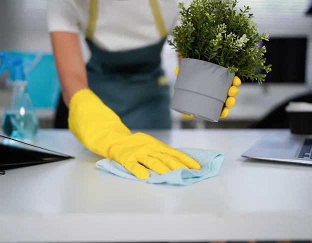 Entreprise de Désinfection dans le Cher proche de Bourges - 18
